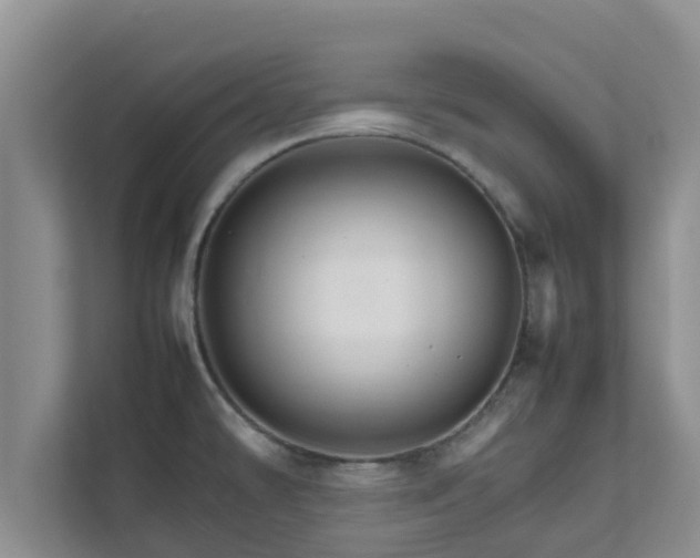 X0000111681478200907241223