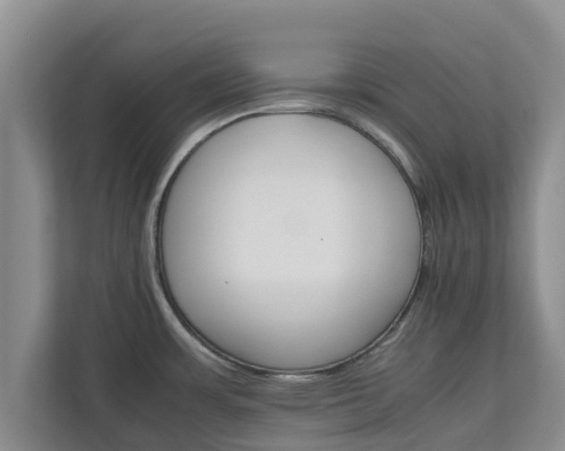 X0000111681483200907241223