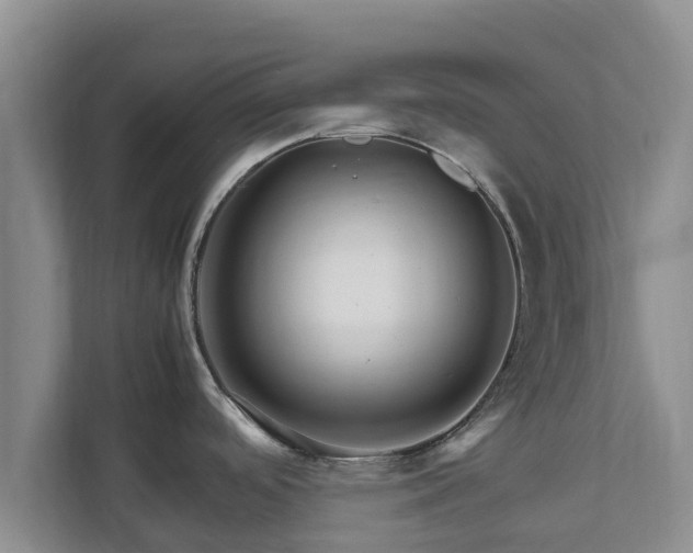 X0000111681488200907241223