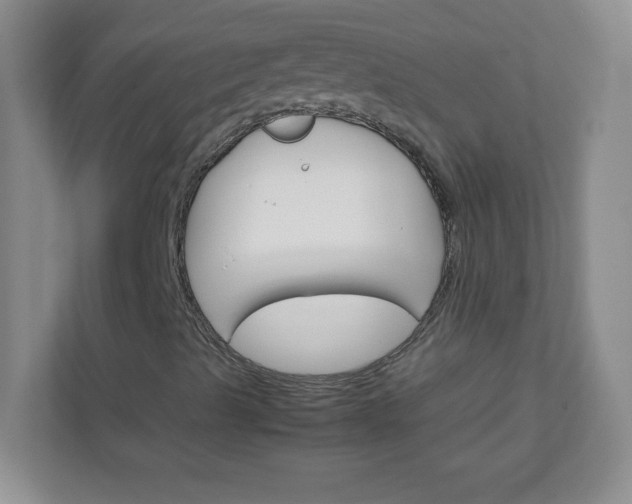 X0000111681489200907241222