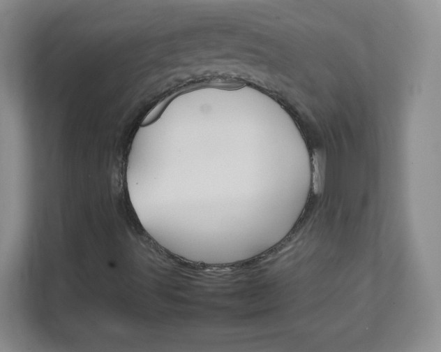 X0000111681491200907241222