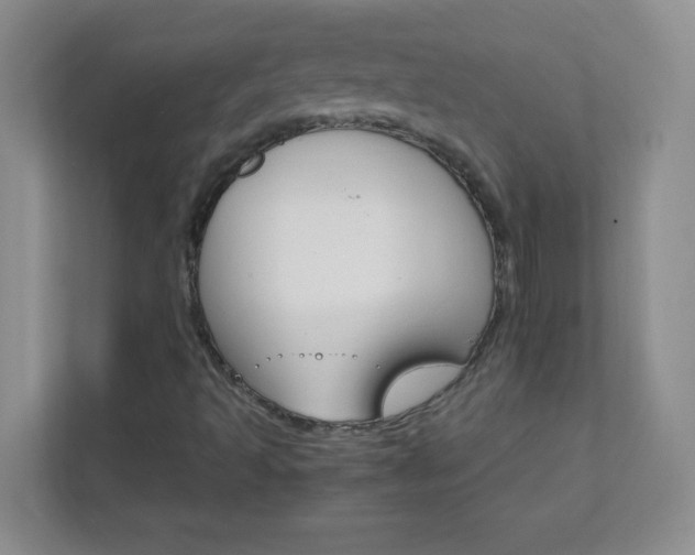 X0000111681493200907241222