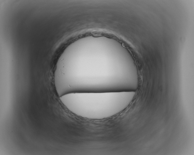 X0000111681495200907241222