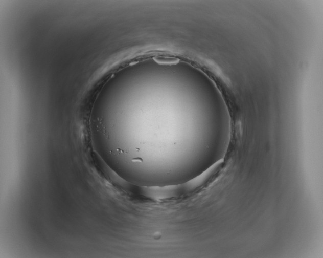 X0000111681496200907241222