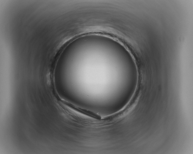 X0000111681497200907241222