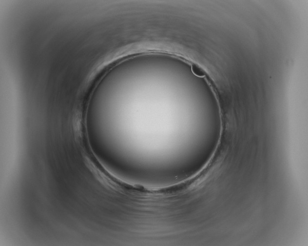 X0000111681499200907241222