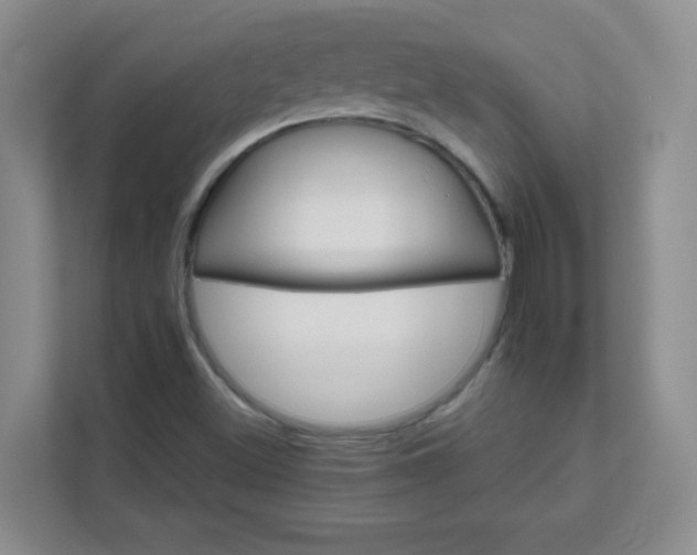 X0000111681500200907241222