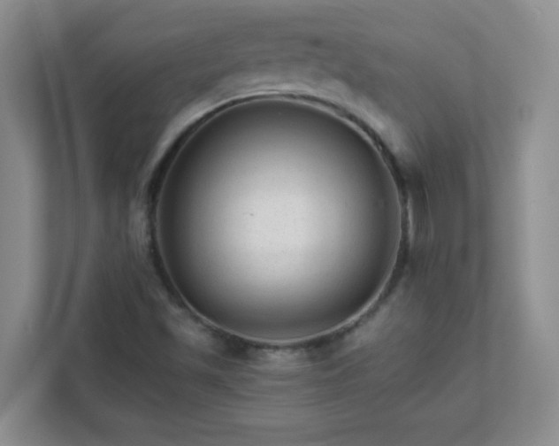 X0000111681501200907241222