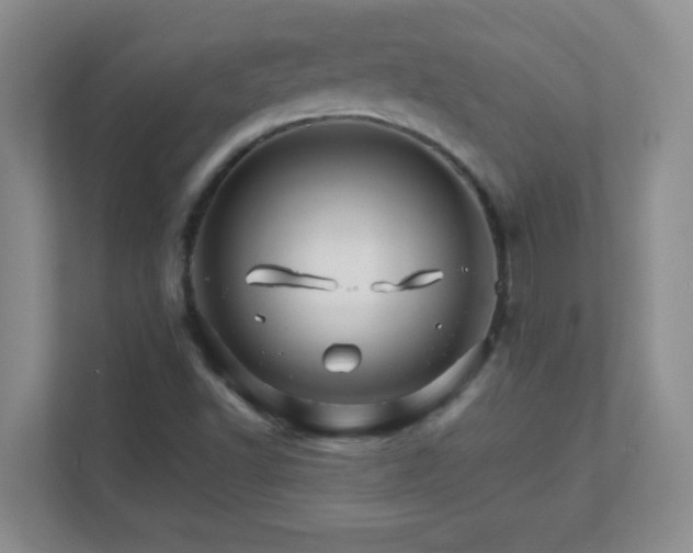 X0000111681502200907241222