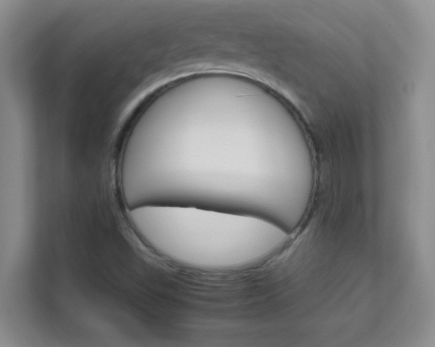 X0000111681503200907241222