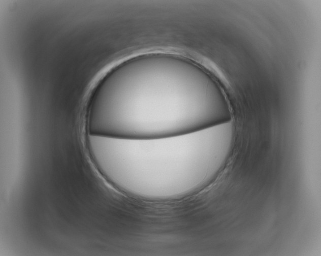 X0000111681504200907241222