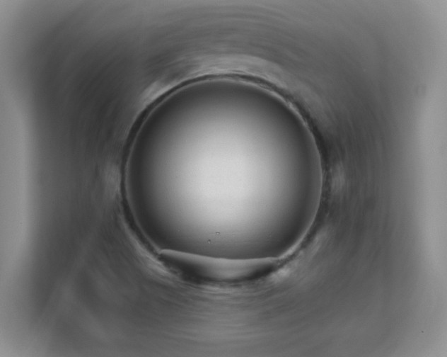 X0000111681505200907241222