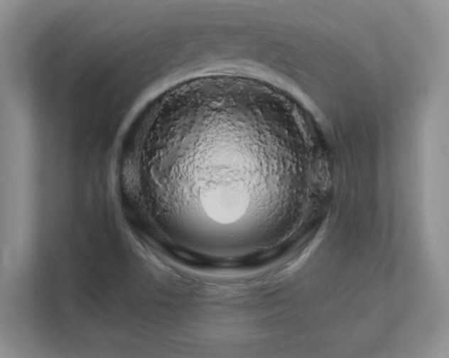 X0000111681506200907241222