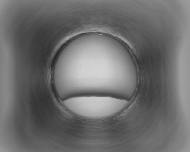 X0000111681507200907241222