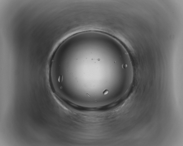 X0000111681508200907241222