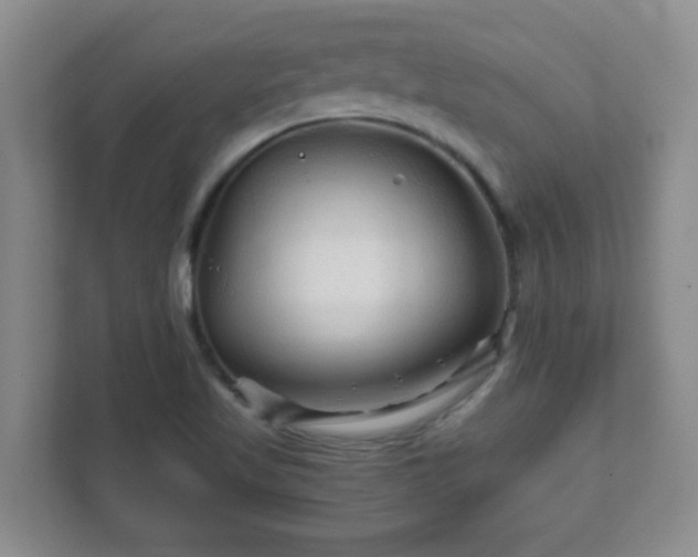 X0000111681509200907241222