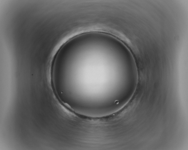 X0000111681512200907241222