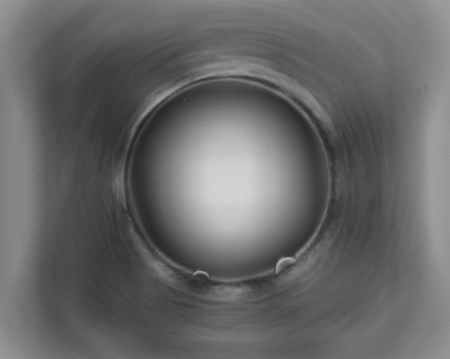 X0000111681513200907241222