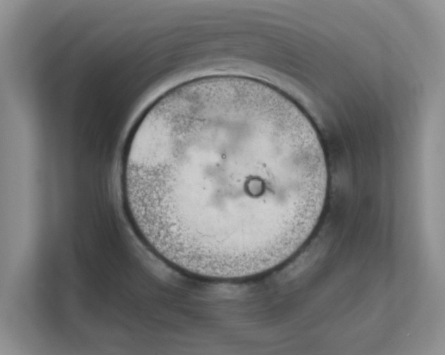 X0000111681514200907241222