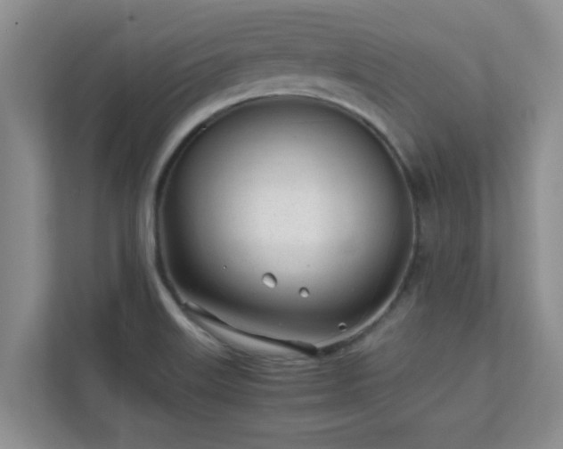 X0000111681515200907241222