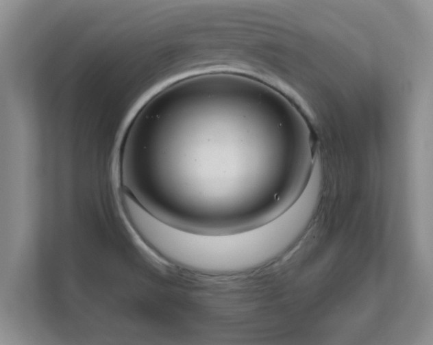 X0000111681516200907241222