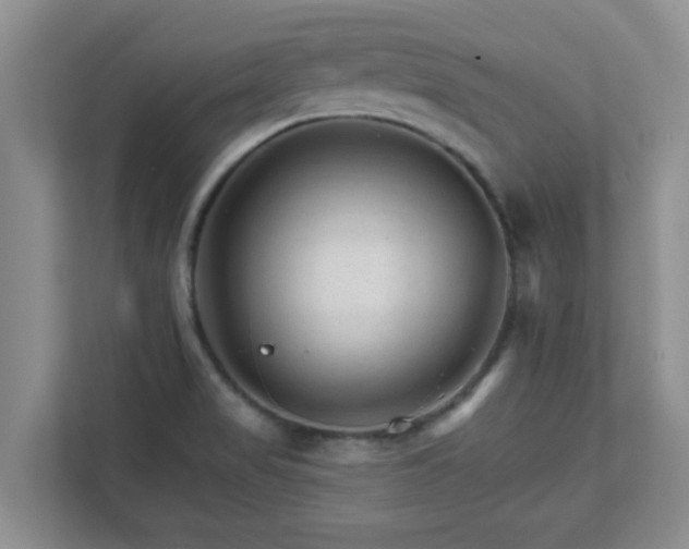 X0000111681517200907241222