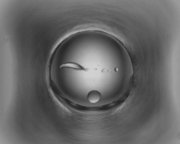 X0000111681518200907241222