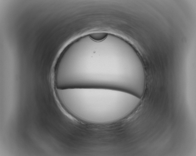 X0000111681519200907241222