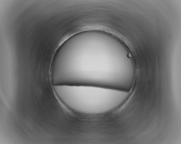 X0000111681521200907241222