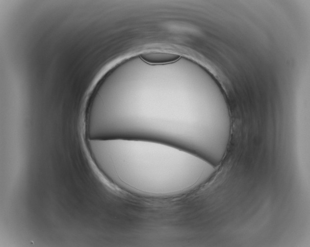 X0000111681523200907241222