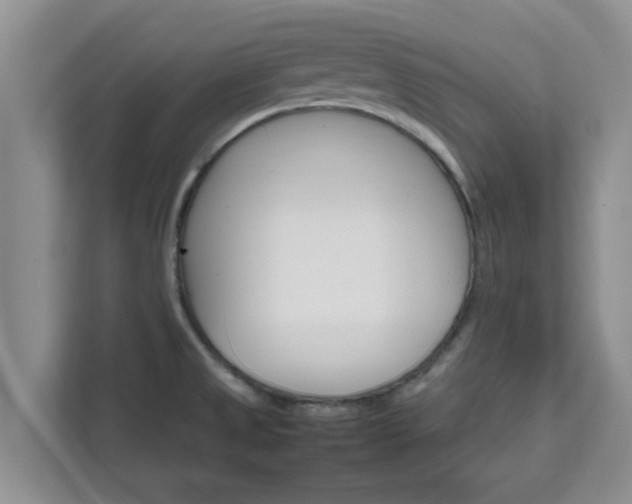 X0000111681525200907241222