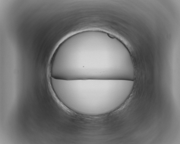 X0000111681526200907241222