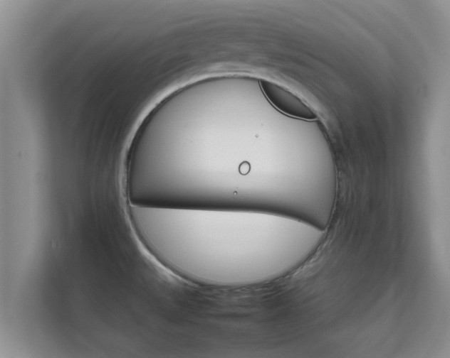 X0000111681527200907241222