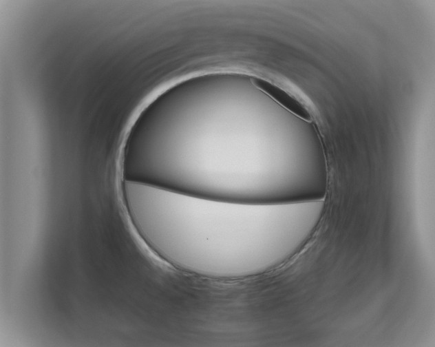 X0000111681528200907241222