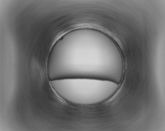 X0000111681529200907241222