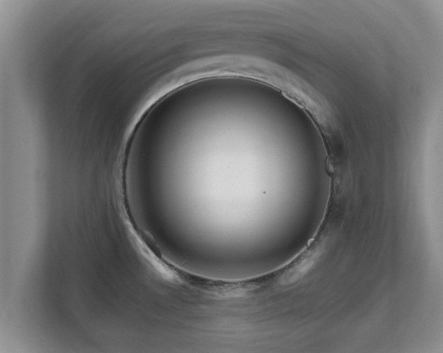 X0000111681530200907241222