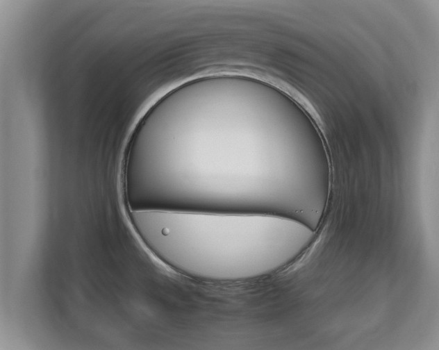 X0000111681533200907241222