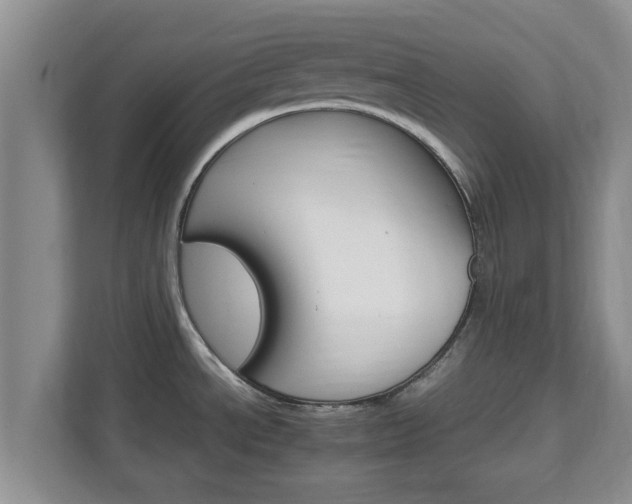 X0000111681534200907241222