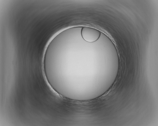 X0000111681536200907241222