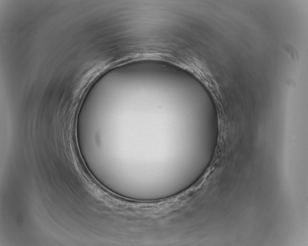 X0000111680001200907311229