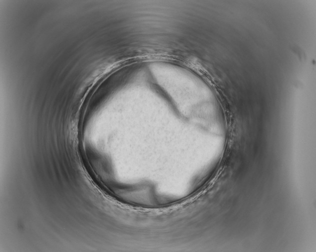 X0000111680002200907311229