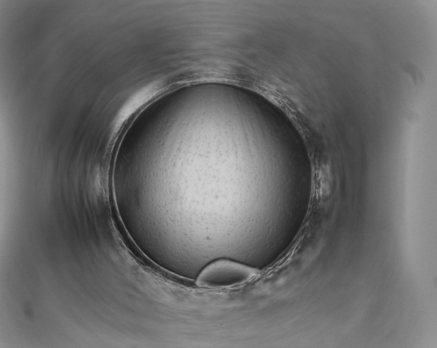 X0000111680004200907311229