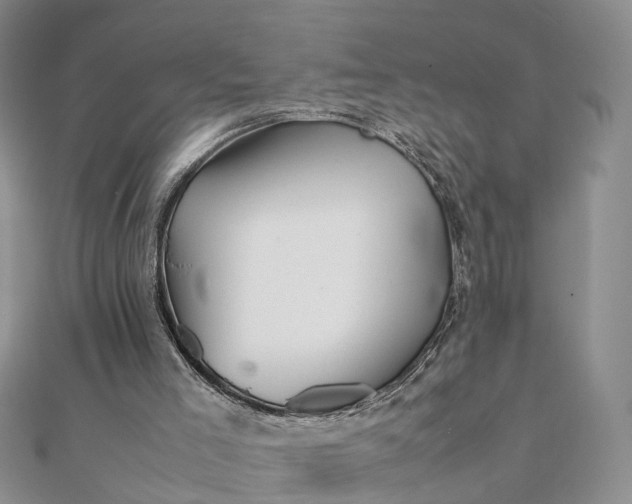 X0000111680005200907311229