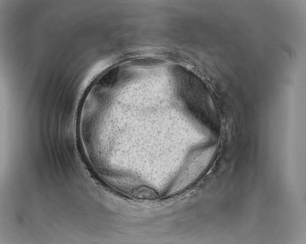 X0000111680006200907311229