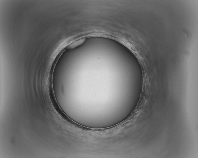 X0000111680007200907311229