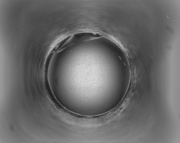 X0000111680008200907311229