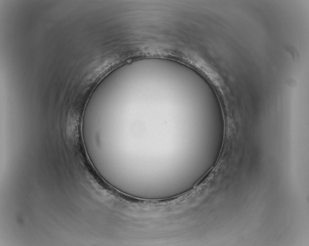 X0000111680009200907311229