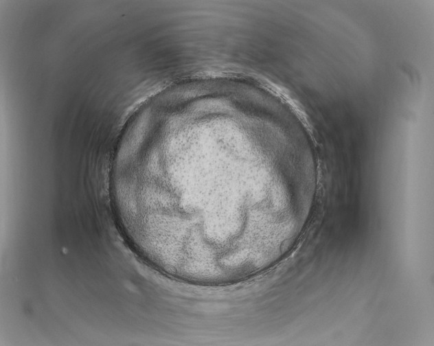 X0000111680010200907311229