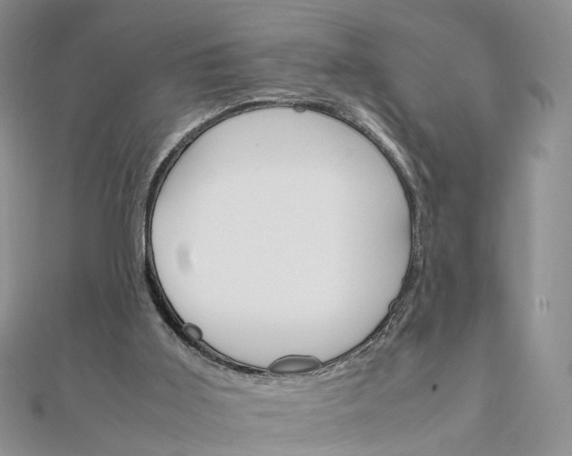 X0000111680011200907311229