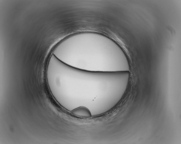 X0000111680012200907311229